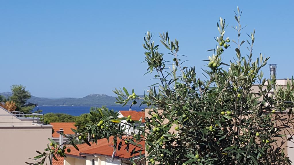 Apartment Garden Terrace Zadar Bagian luar foto